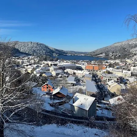 Chalet Django Gerardmer